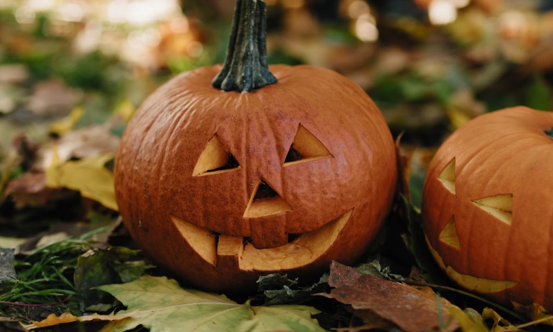 A large carved jack-o’-lantern with triangular eyes and a crooked grin sits among fallen autumn leaves